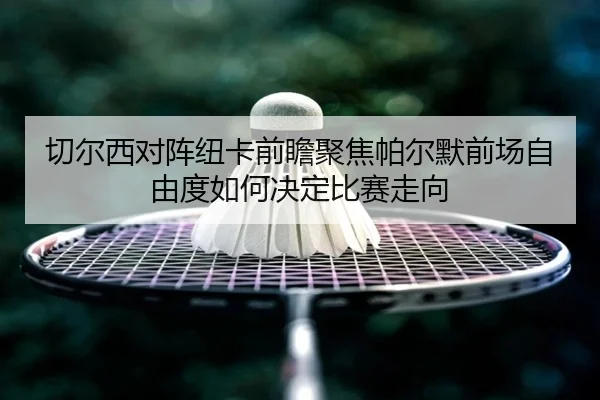 切尔西对阵纽卡前瞻聚焦帕尔默前场自由度如何决定比赛走向