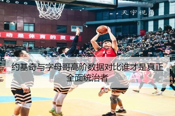 约基奇与字母哥高阶数据对比谁才是真正全面统治者